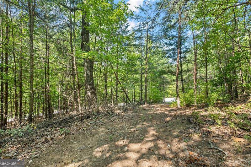 0 Highlands Lake Trail - Photo 1