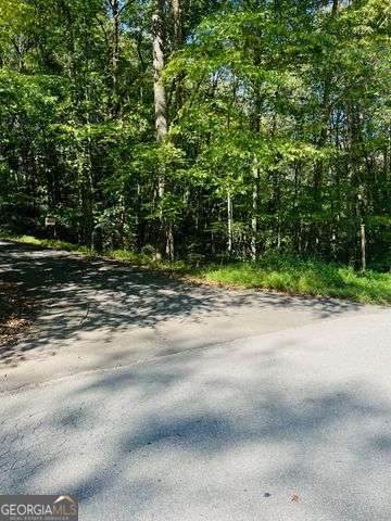 220 Maxwell Mountain Road - Photo 1
