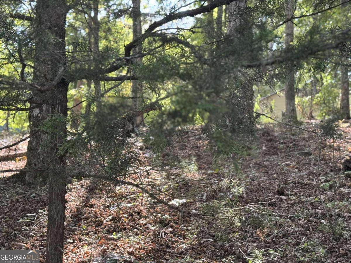 0 Cagle Road - Photo 1