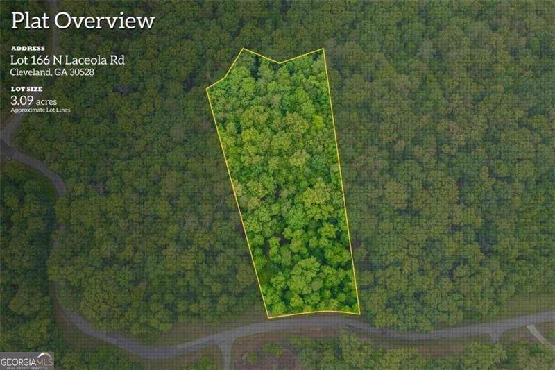 166 Laceola Road - Photo 1