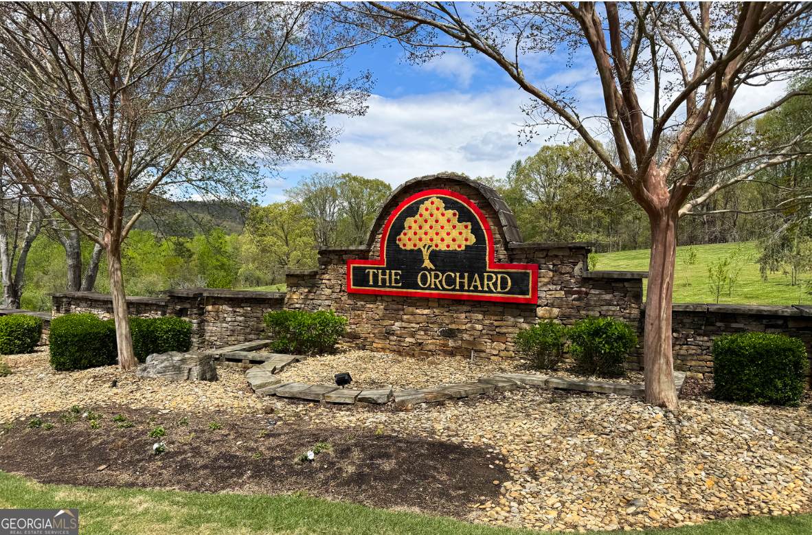 0 Crabapple Road - Photo 1