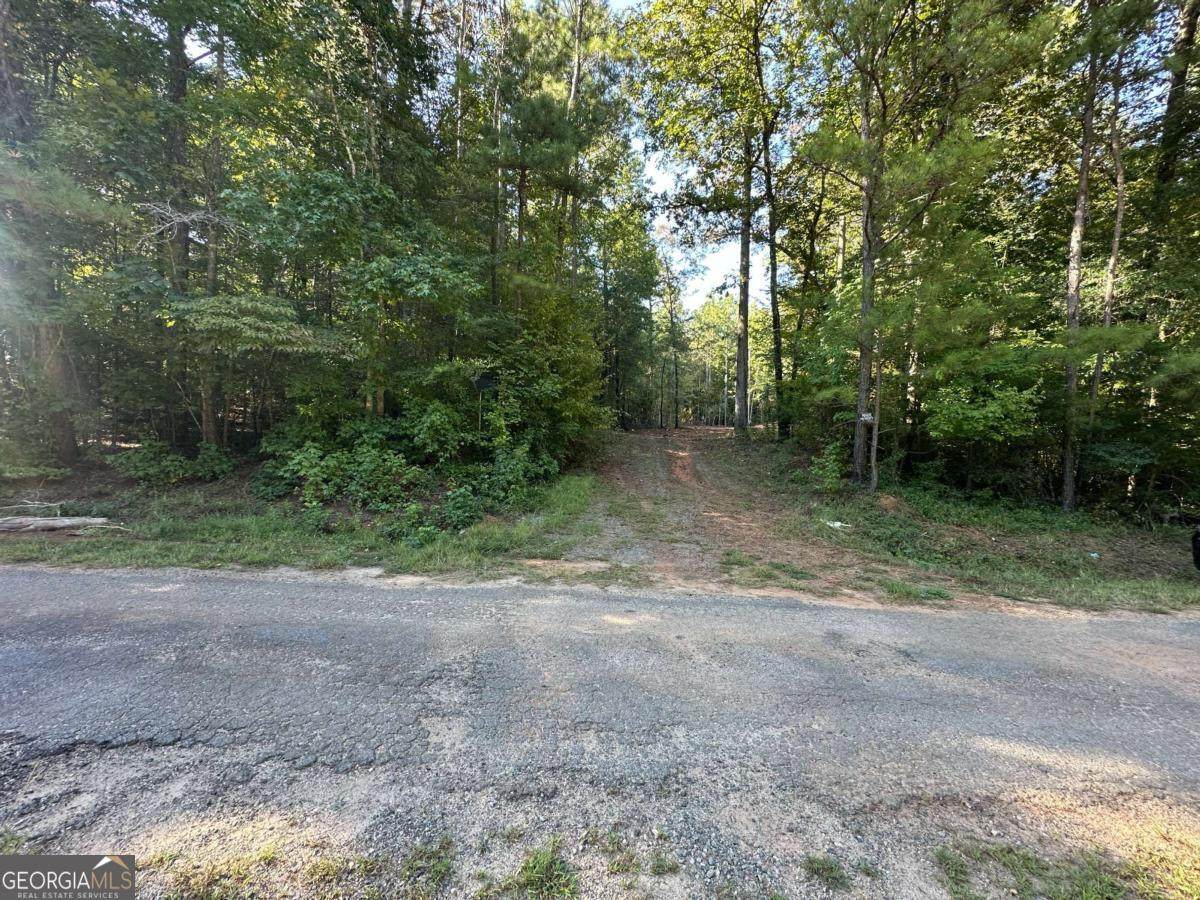 412 Towaliga Trail - Photo 1