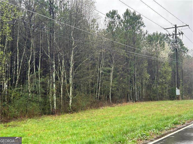 337 Mac Johnson Road - Photo 1