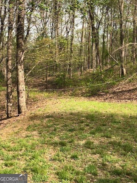 LT 17B Lakeland Drive - Photo 1