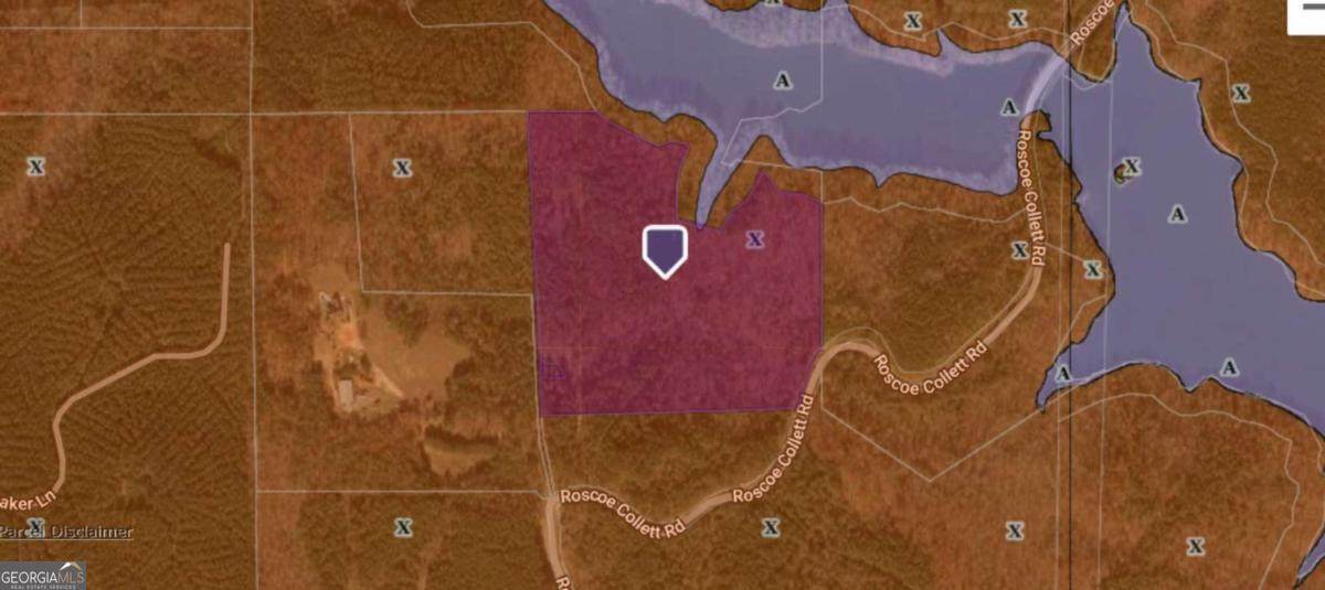 0 Roscoe Collett Road - Photo 1