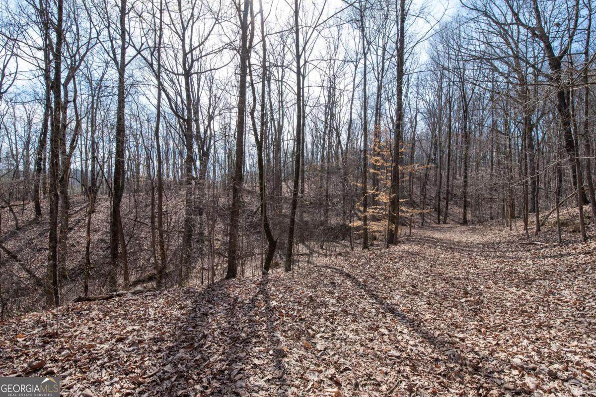 86.99 Acres Mincie Mountain - Photo 1