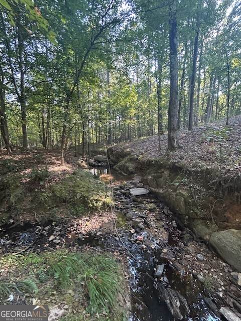 1251 Adams Road - Photo 1