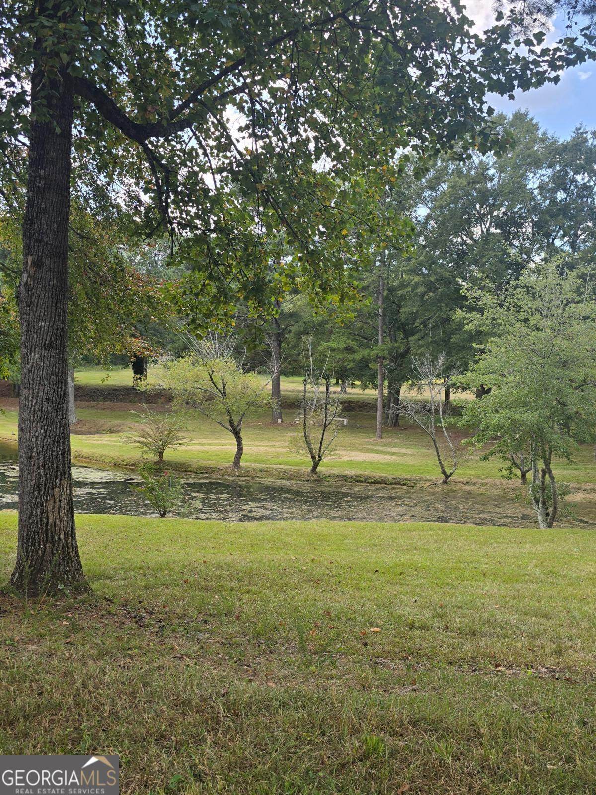 4462 Lee Road - Photo 1