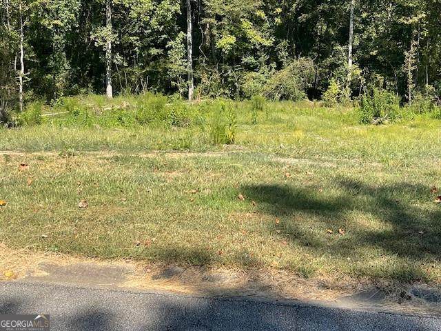 80 Indian Lake Drive - Photo 1