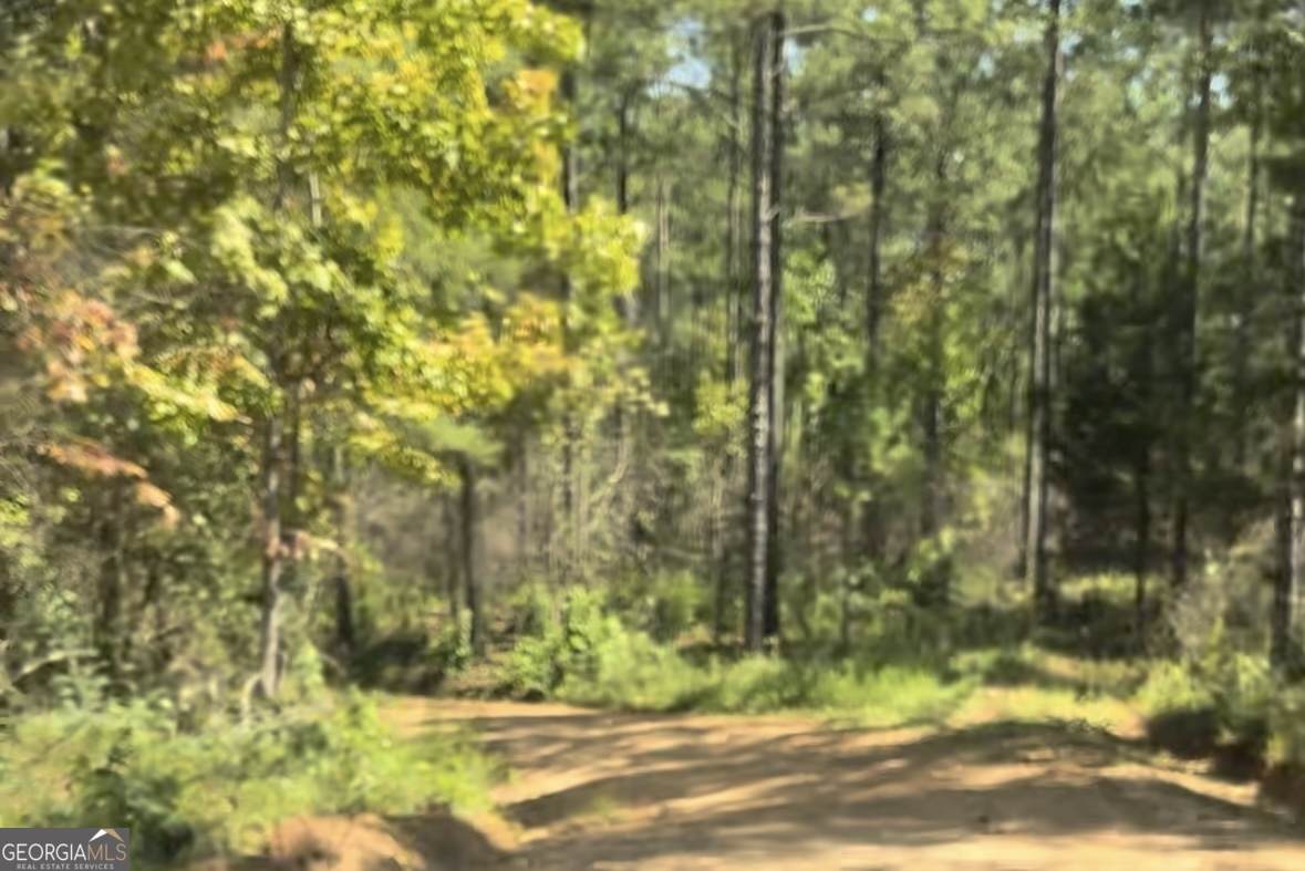 0 County Road 831 - Photo 1