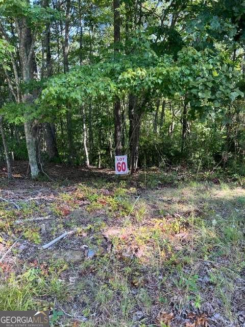 LT 60 Honeysuckle Way - Photo 1