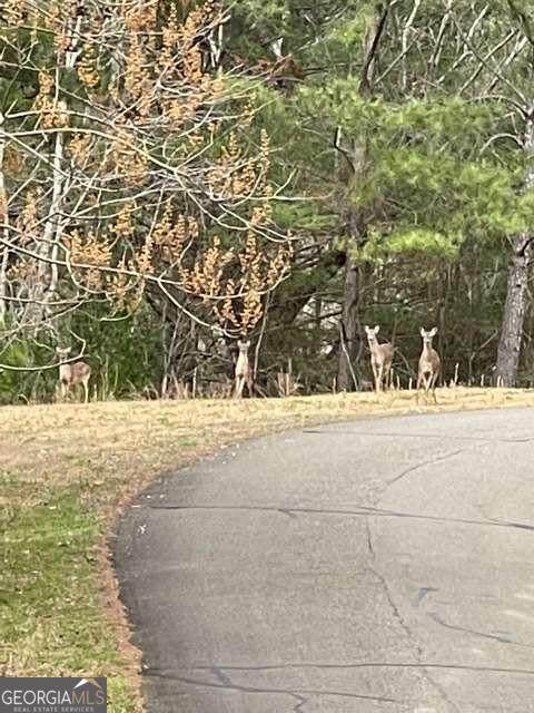 LT 33 Buck Creek Road - Photo 1
