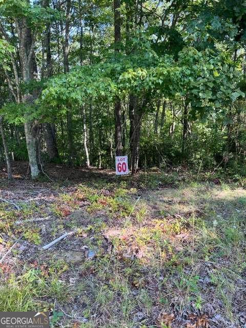 LTS 61 & 62 Honeysuckle Way - Photo 1