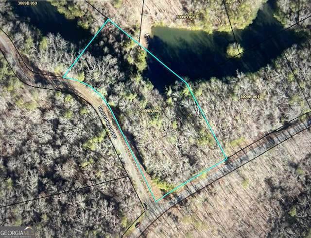 LT 50 White Pine Ridge - Photo 1