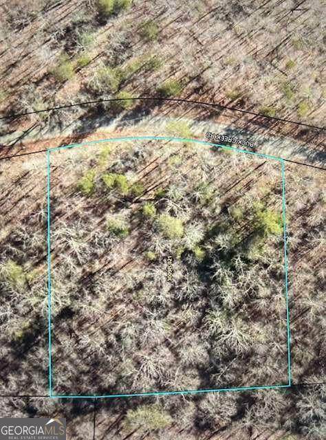 LT 32 Buck Creek Road - Photo 1