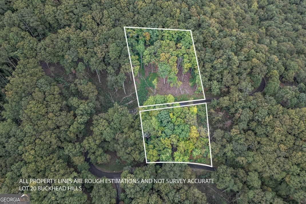 LOT 20 Buckhead Hills - Photo 1