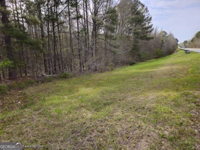 TRACT 2 Us Highway 341 - Photo 1