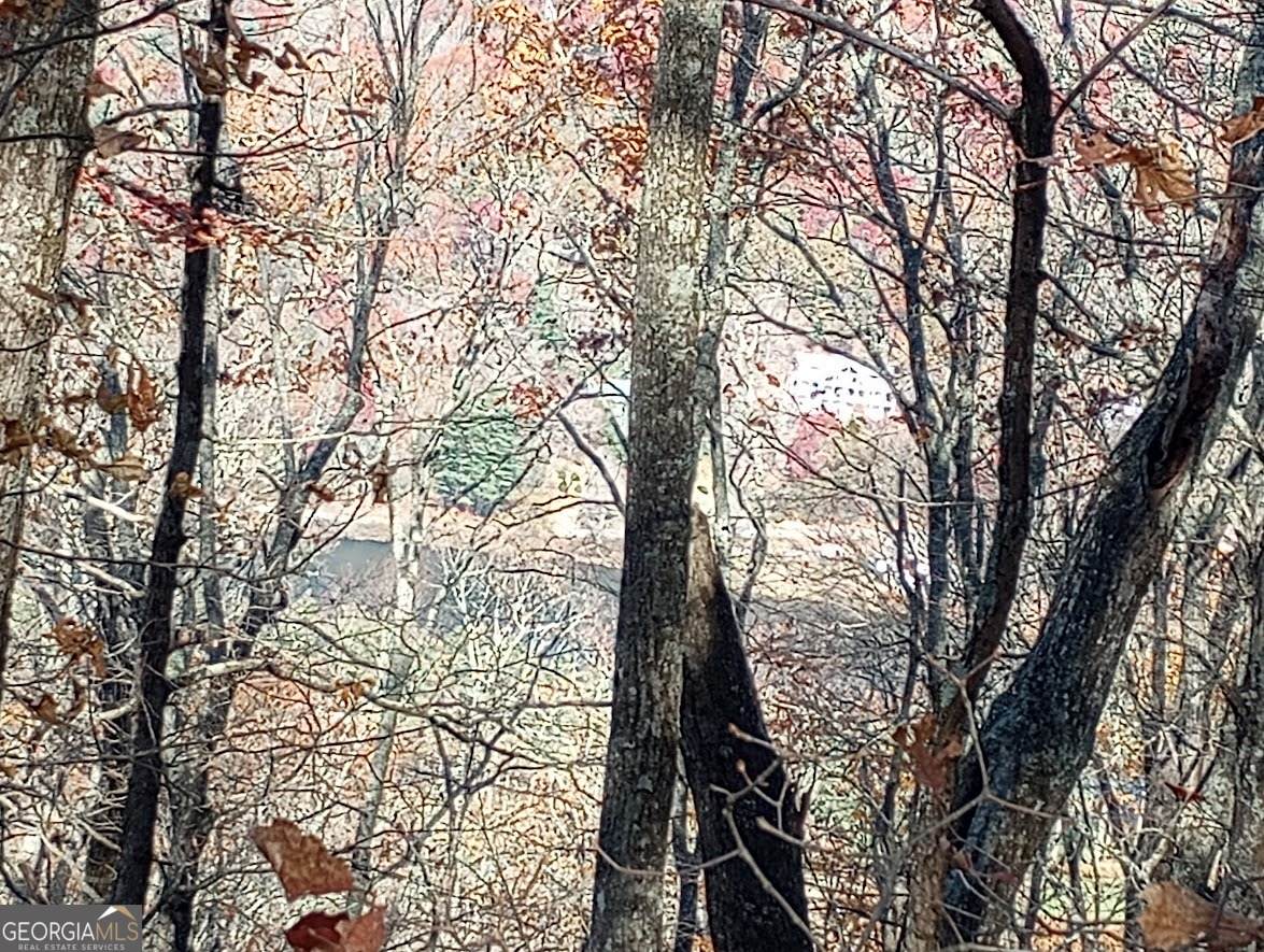 0 LOT 25 Alex Mountain - Photo 1