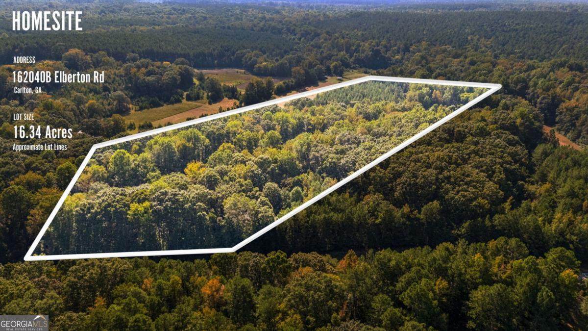 0 Elberton Road - Photo 1