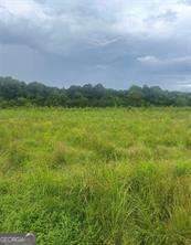 729 Taylor Town Road - Photo 1