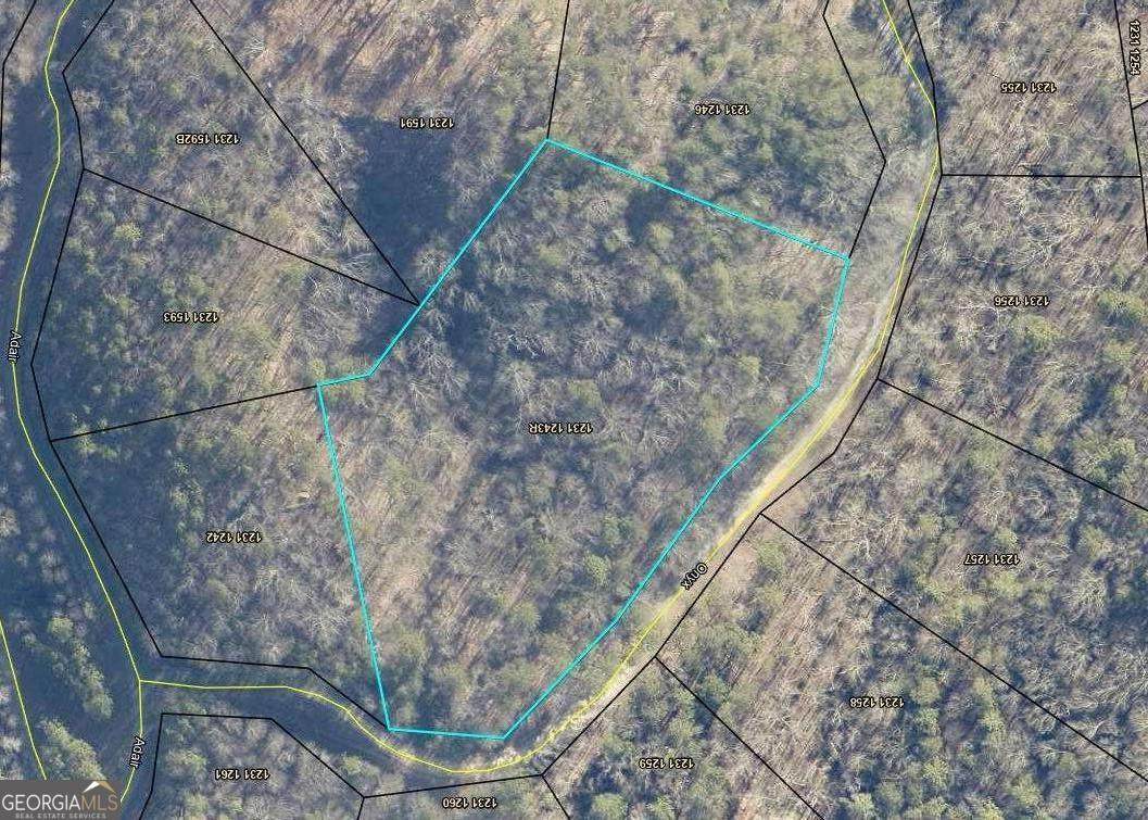 1243R Onyx Court - Photo 1