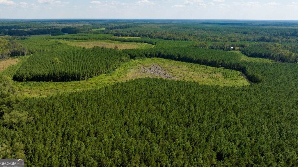 0 Hudson Ferry Rd. & Newington Highway - Photo 1