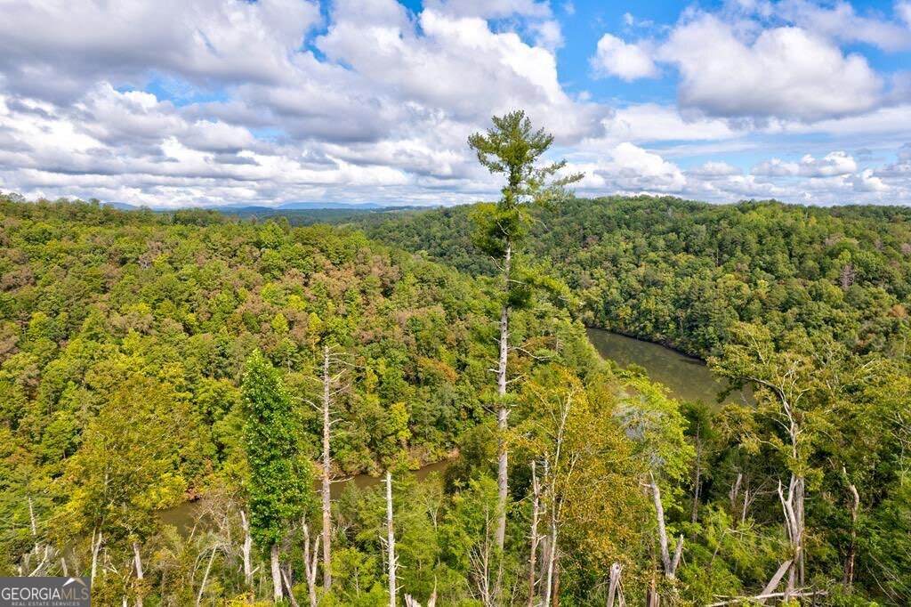 LT 931R Myna Drive - Photo 1