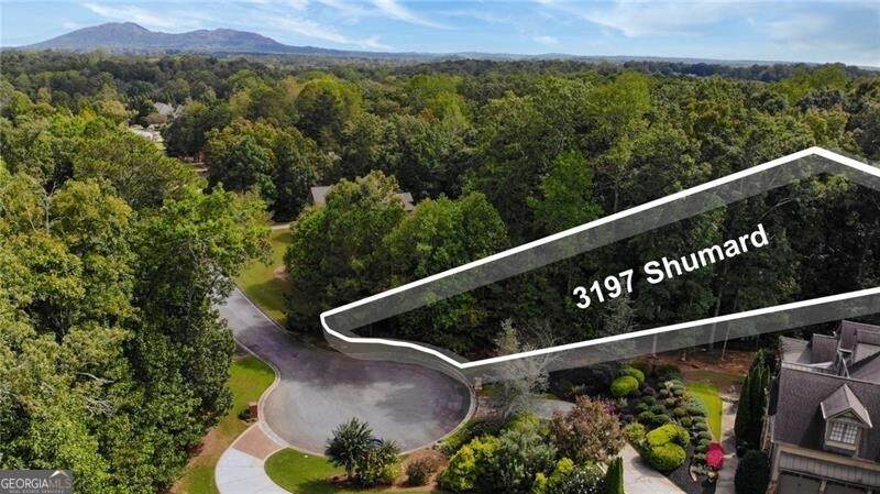 3197 Shumard Way - Photo 1