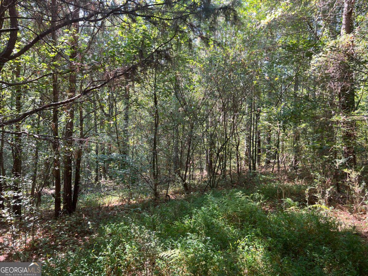 124 Kelley Street - Photo 1