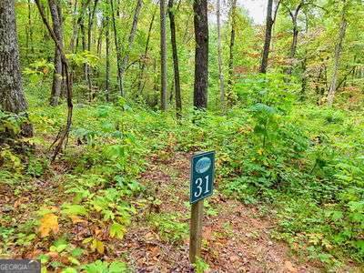 LOT 31 Skyview Drive - Photo 1