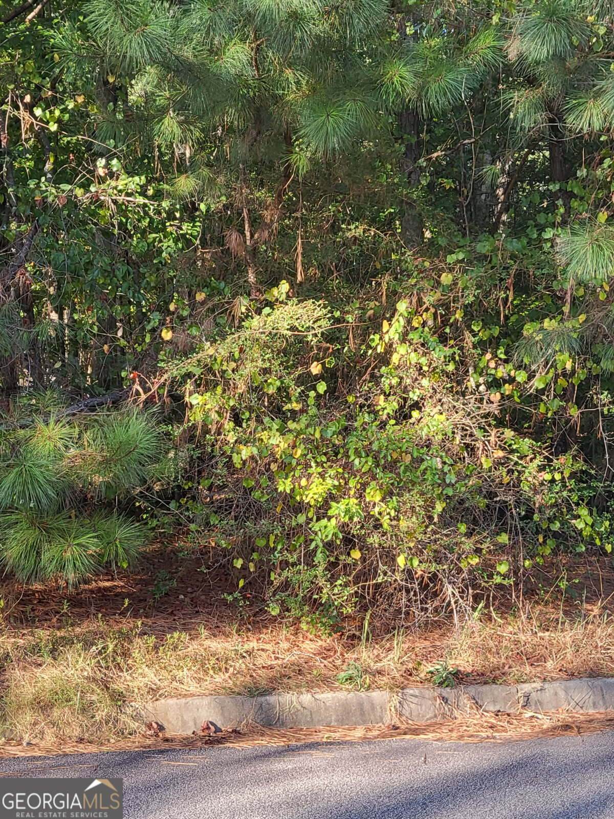 1013 Columbus Drive - Photo 1