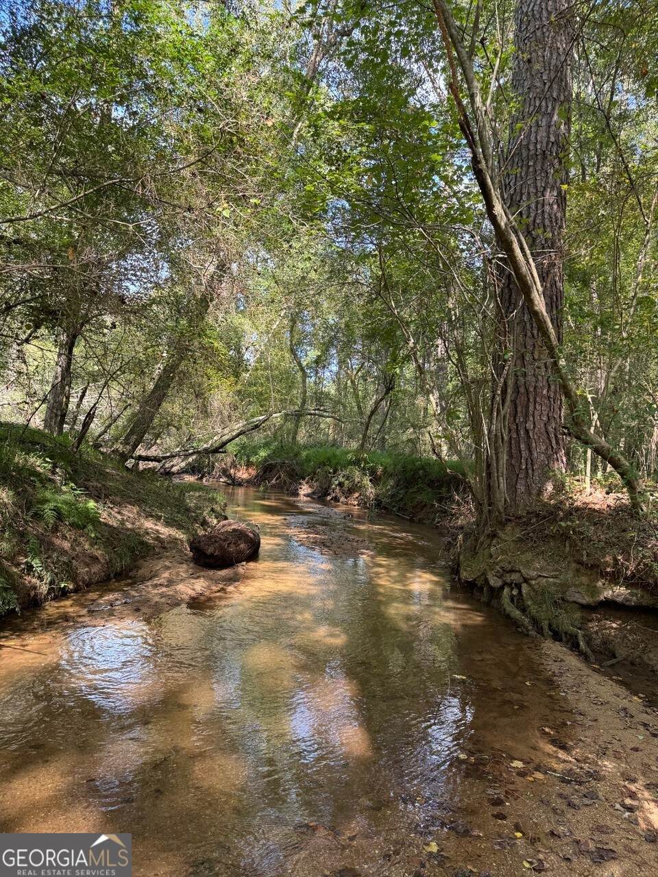 0 Hebron Church Road - Photo 1