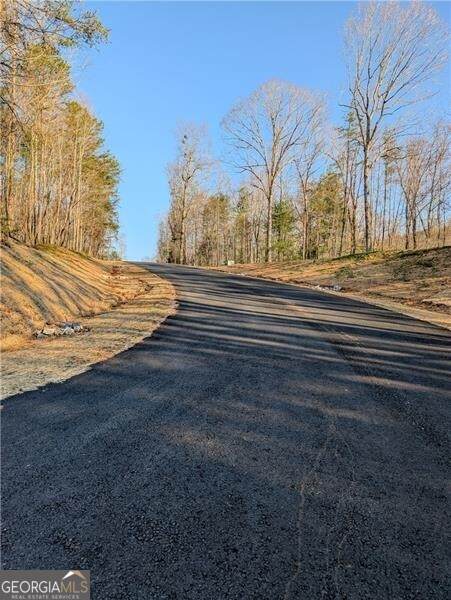 0 Yahoola Ridge - Photo 1