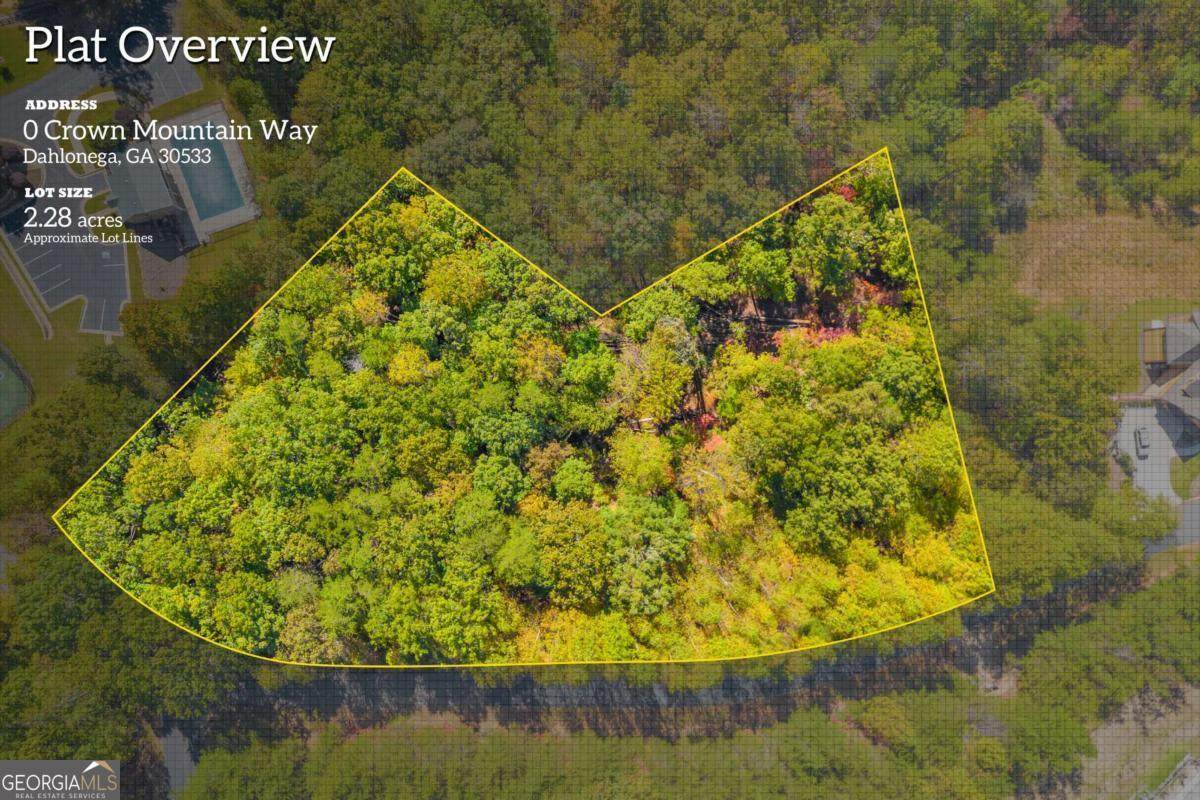 LOT 13 Crown Mountain Way - Photo 1