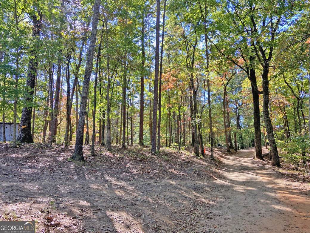 962 Winters Mountain Road - Photo 1