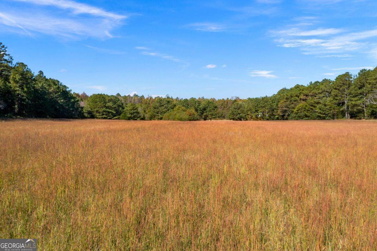 0 Satcher Road - Photo 1