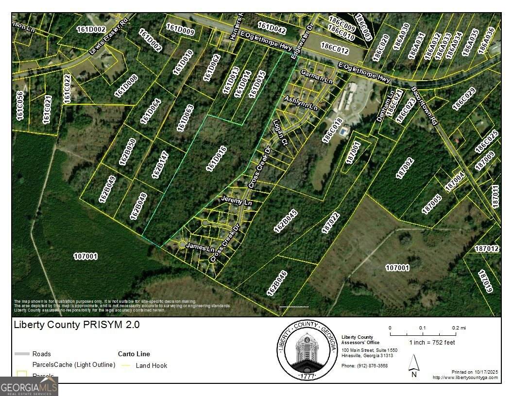 0 Oglethorpe East Highway - Photo 1