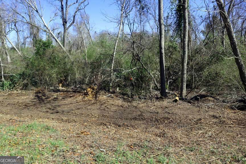 LT.1 Harrison Davisboro Road - Photo 1