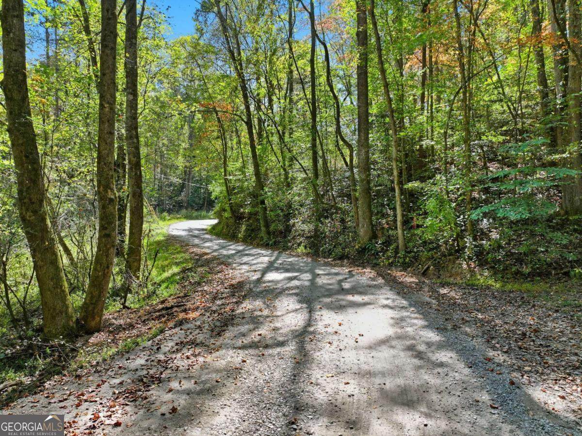 0 Tanglewood Lane - Photo 1