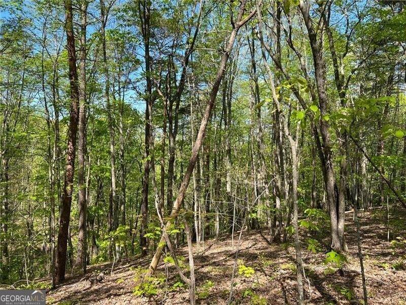 269 Appleberry Mountain Road - Photo 1