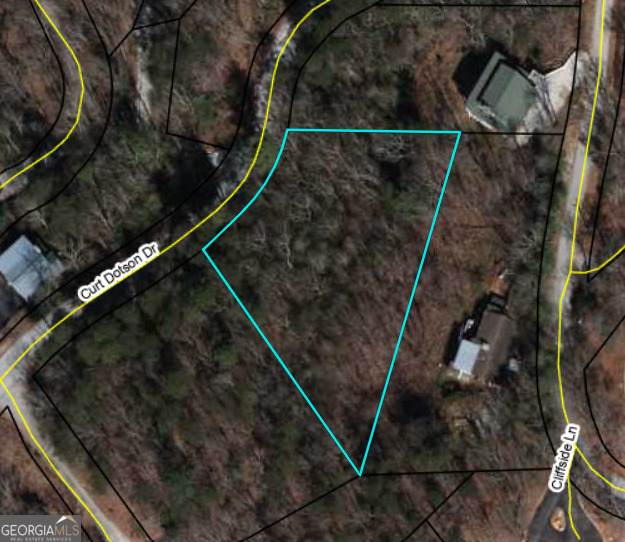 0 Curt Dotson Drive - Photo 1