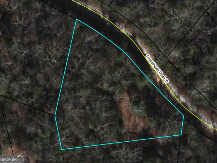 0 Sweetheart Rose Trail - Photo 1