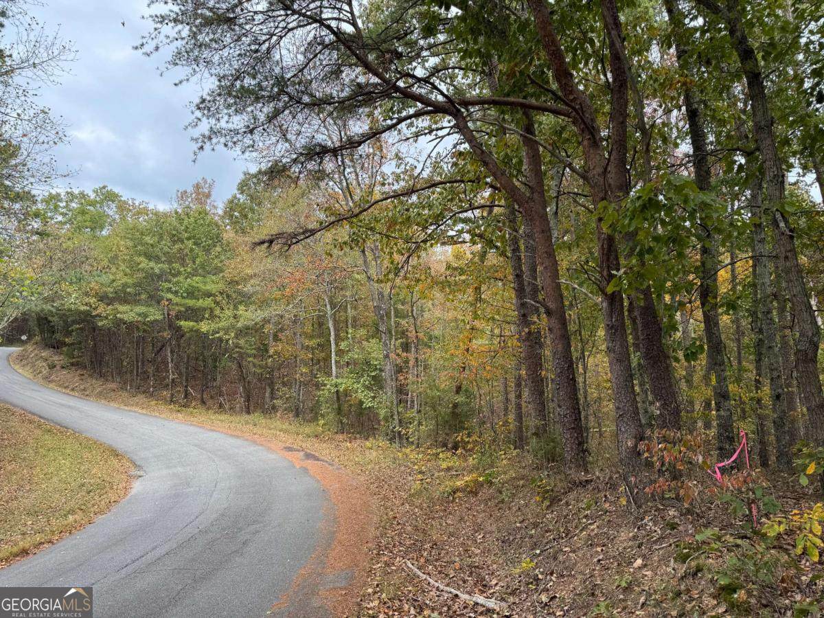 0 Cagle Road - Photo 1