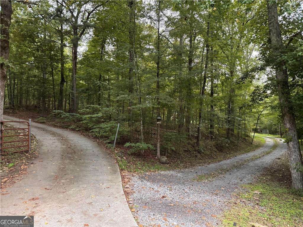 0 Turkey Mountain Road - Photo 1
