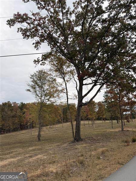 0 Melson - Photo 1