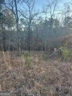 0 River Ridge Trail - Photo 1