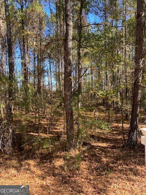 0 Triune Mill Road - Photo 1