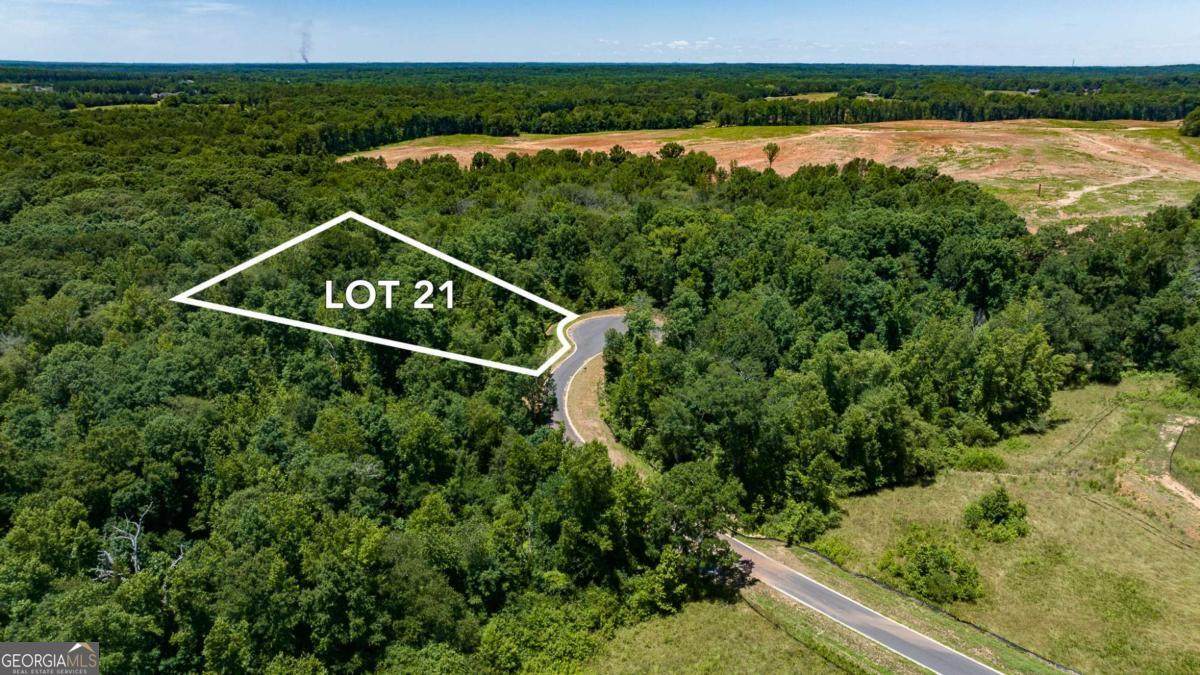 1715 Whistling Creek Crossing - Photo 1
