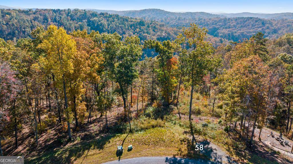 LOT 58 Ridge Line Trail - Photo 1