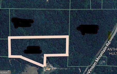 0 Vinson Mountain Road - Photo 1